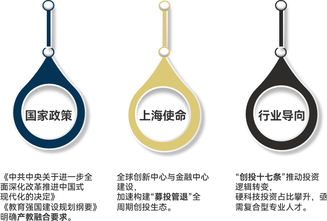 宏观变局：政策、区域与行业的三重共振