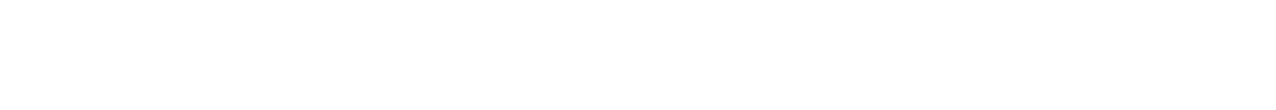 2020 年成果